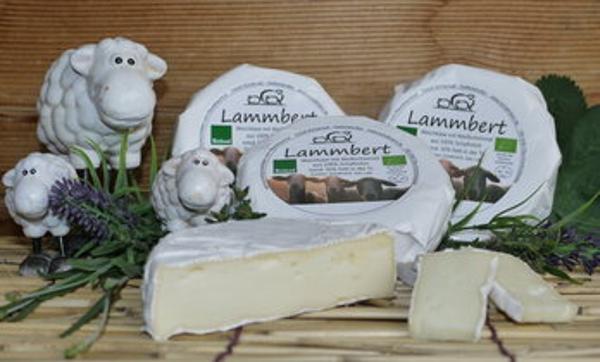 Produktfoto zu Lammbert Schaf Weichkäse, ca. 300 g