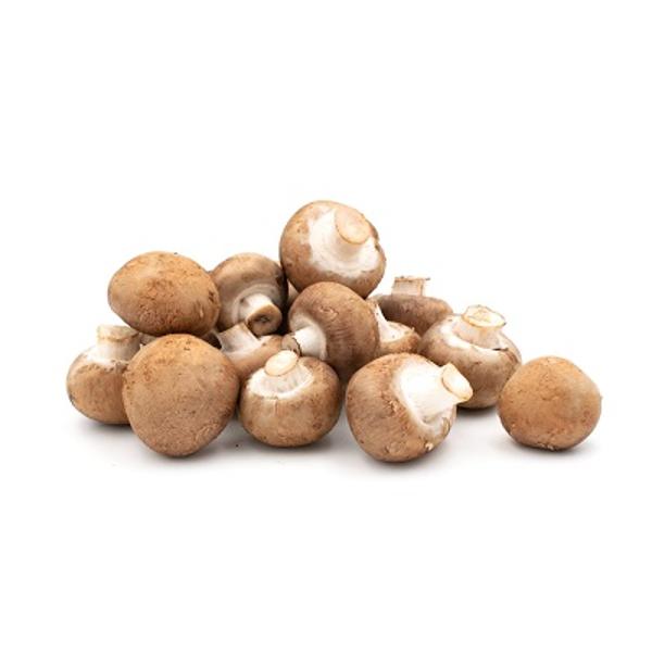 Produktfoto zu Pilze Champignons braun