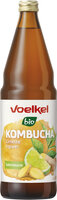 Kombucha Limette Ingwer