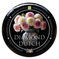 Aurora Gold Diamond Dutch