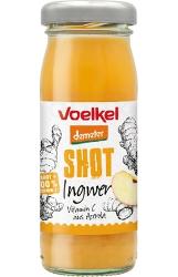 Shot Ingwer, 95 ml