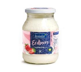 Joghurt Erdbeere 2,5 %, 500 g