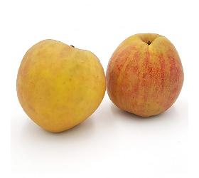 Apfel Boskoop rot