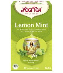 Lemon Mint, 17 TB