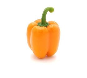 Paprika orange