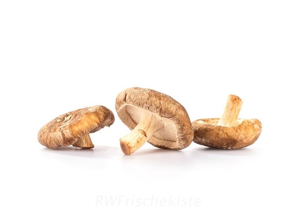 Produktfoto zu Shiitake Pilze