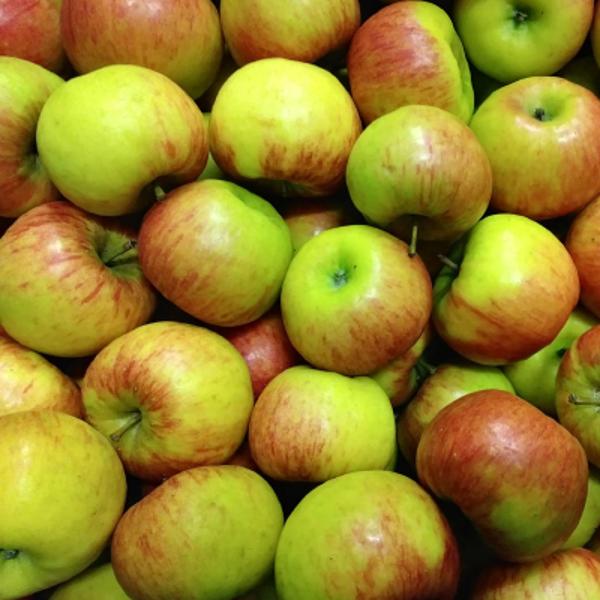Produktfoto zu Topaz Apfel