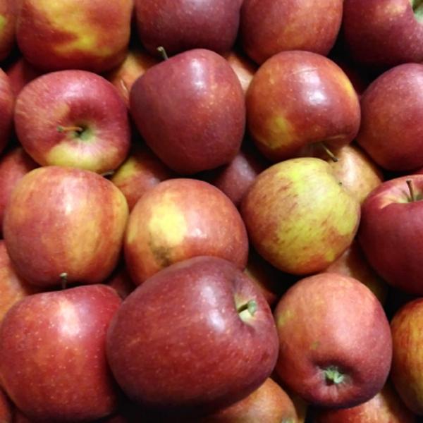 Produktfoto zu Braeburn Apfel