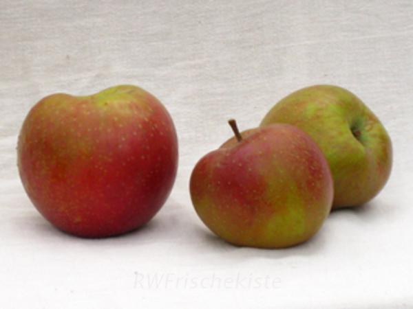 Produktfoto zu Boskoop Apfel