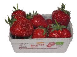 Erdbeeren 250g