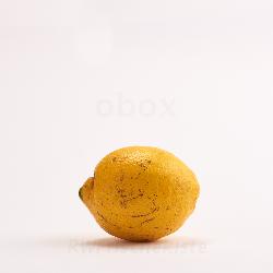 Zitronen mit Charakter (2. Wahl)