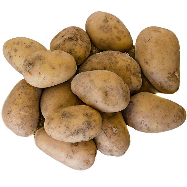 Produktfoto zu Kartoffeln "Belana" festk. 1 Kg