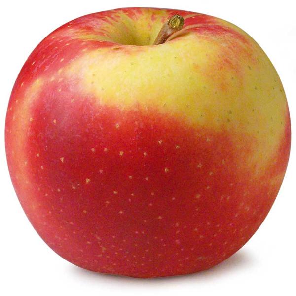 Produktfoto zu Apfel, Elstar