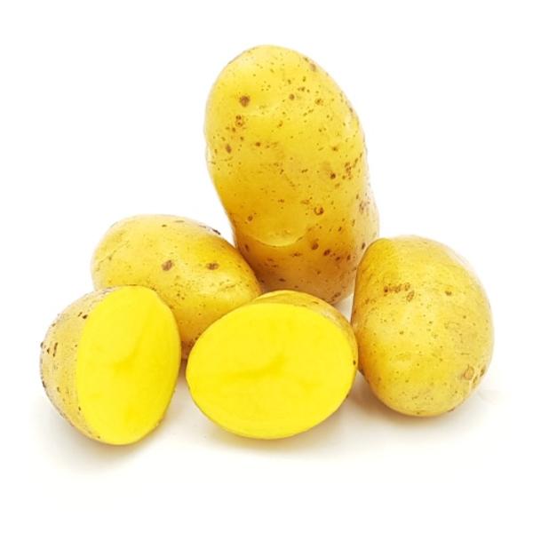 Produktfoto zu festkochende Kartoffeln Belana