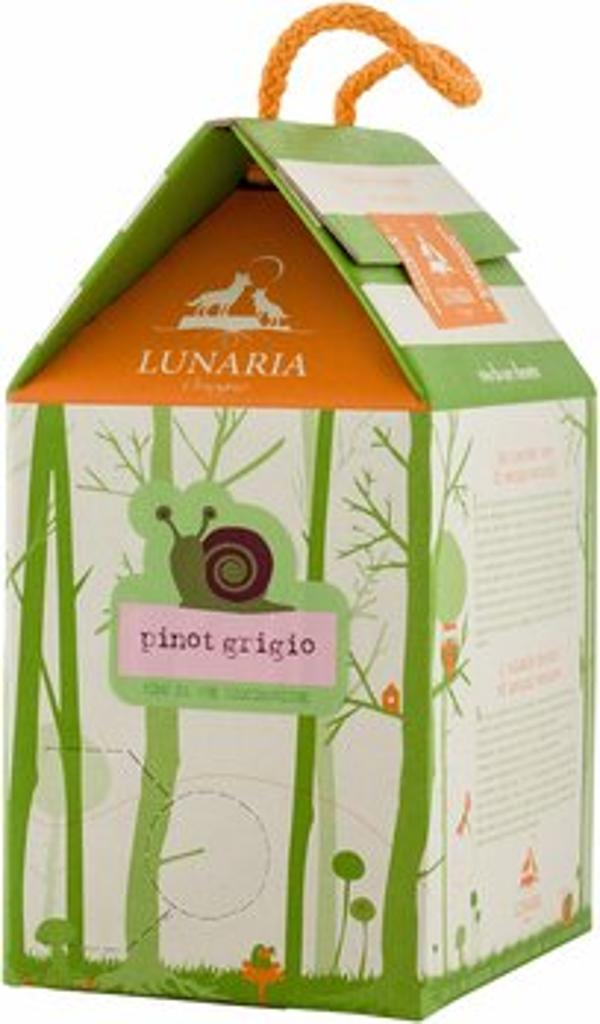 Produktfoto zu Pinot Grigio Terre di Chieti Bag in Box