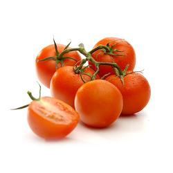 Cherrystrauch-Tomaten