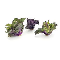 Flower Sprouts, 100g