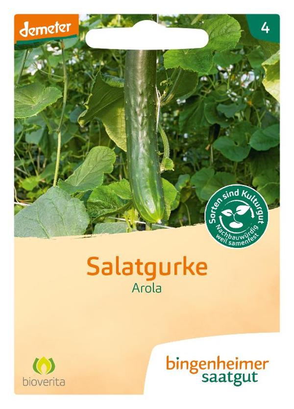 Produktfoto zu Saatgut Salatgurke Arola von Bingenheimer Saatgut