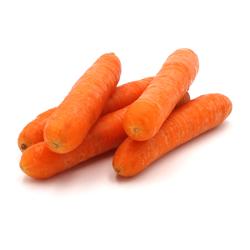 Karotten neue Ernte