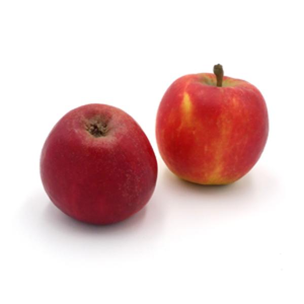 Produktfoto zu kleiner Äpfel Topaz