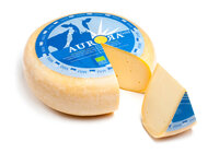 Gouda jung