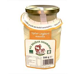 Joghurt 3,8% 500g, regional, Mehrweg