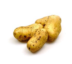 Frühkartoffeln, Nicola (bitte kühl lagern)
