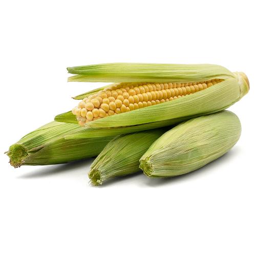 Crunchy Maiskolben vom Grill - Die Gemüsegärtner