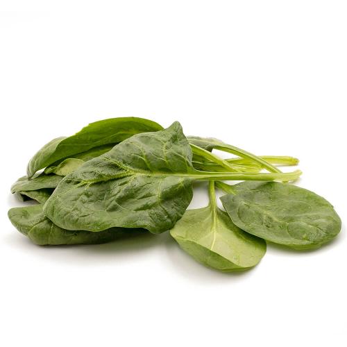 Quesadillas mit Spinat und Rührei - Die Gemüsegärtner