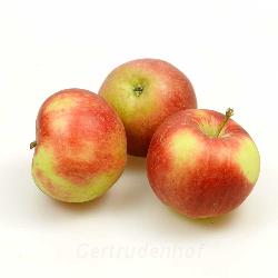 Äpfel, regional