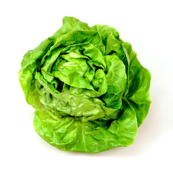Produktfoto zu Kopfsalat, grün