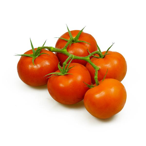 Produktfoto zu Tomaten Strauch
