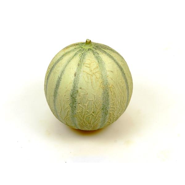 Produktfoto zu Cantaloupe Melone