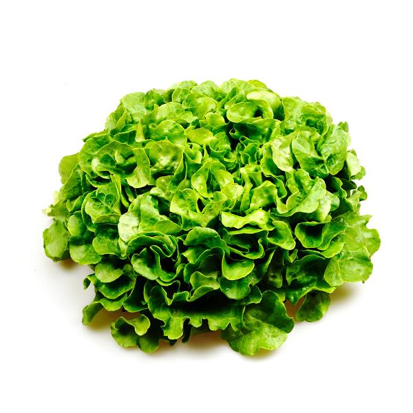 Produktfoto zu Eichblattsalat, grün