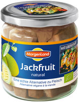 Jackfruit natural