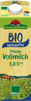 SWM BIO lact.frei Frischmilch 3,8% 10x1L PG