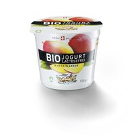Bio Jogurt lactosefrei Mango
