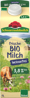 SWM BIO lact.frei Frischmilch 3,8% 10x1L PG