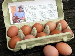 6er Packung Eier