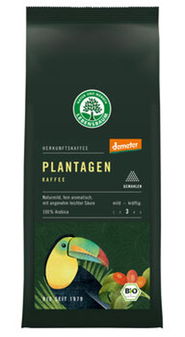Produktfoto zu Plantagen Kaffee - gemahlen