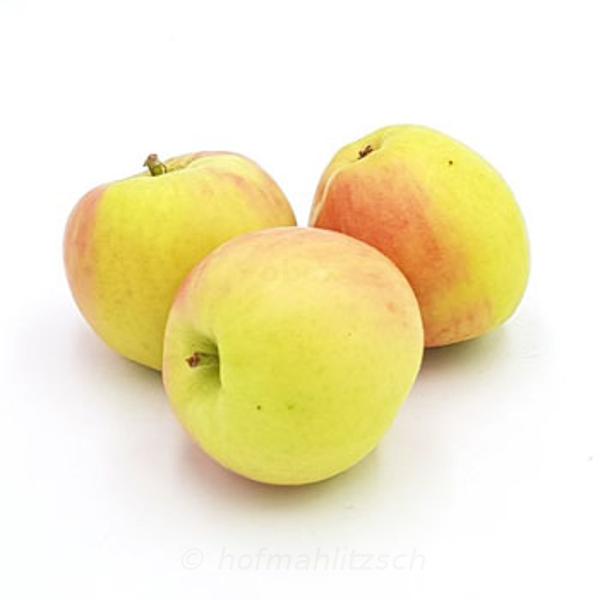 Produktfoto zu Apfel Marnica