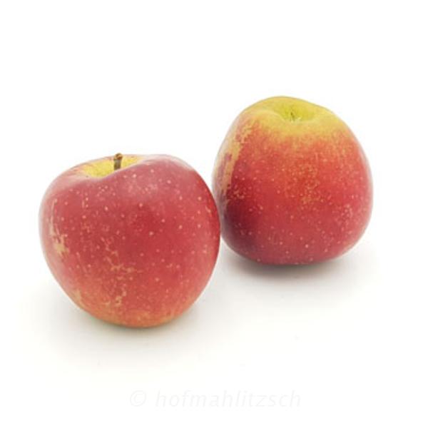 Produktfoto zu Apfel Natyra