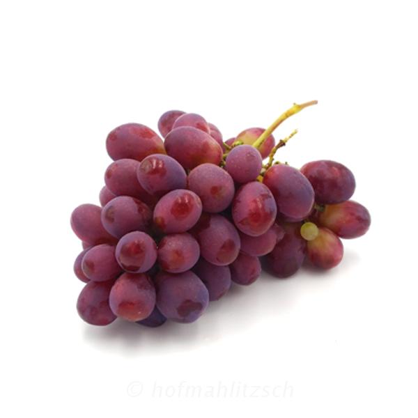 Produktfoto zu Weintrauben schwarz_blau
