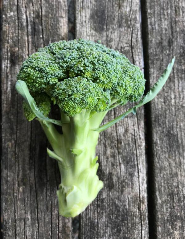 Produktfoto zu Brokkoli (Mahl.)
