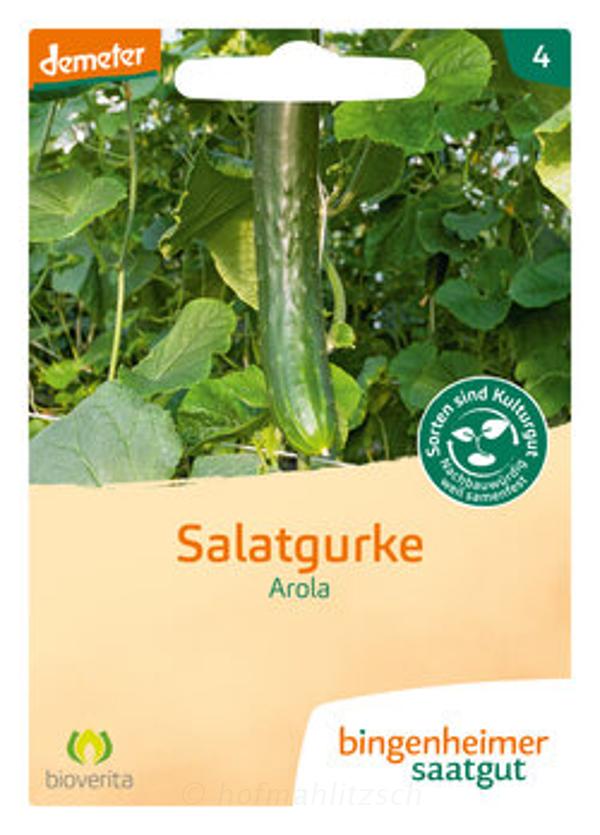 Produktfoto zu Salatgurke Arola