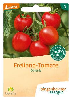Freiland-Tomate Dorenia