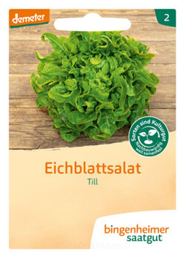Produktfoto zu Eichblattsalat Till