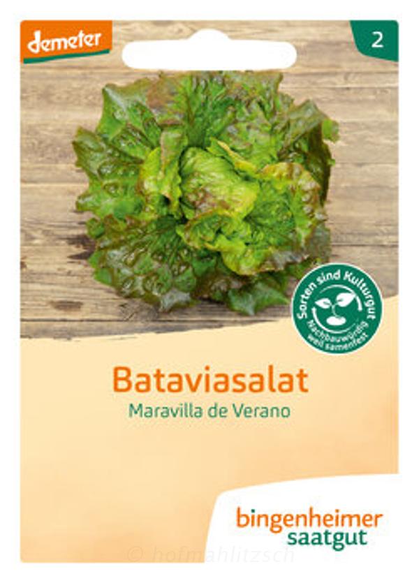 Produktfoto zu Bataviasalat - Maravilla de Verano