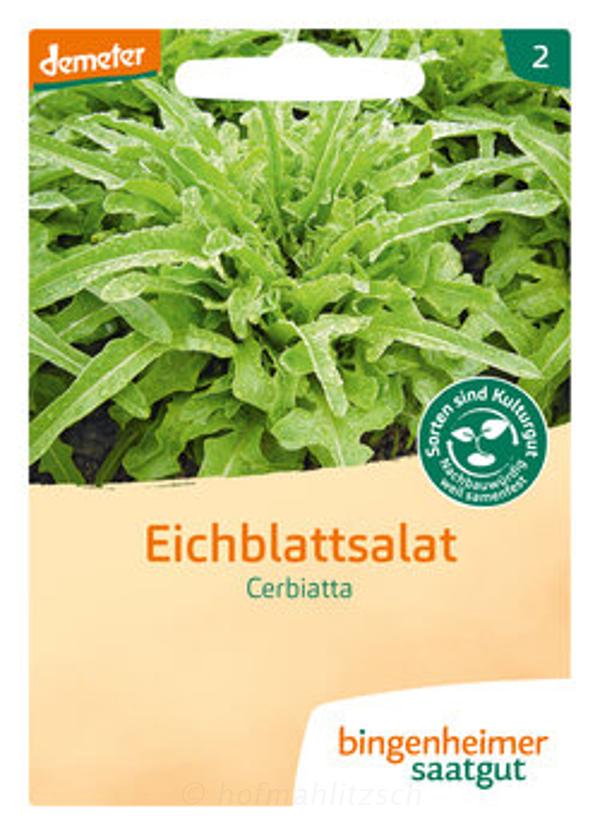 Produktfoto zu Eichblattsalat Cerbiatta