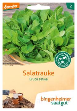 Salatrauke - Saatscheibe